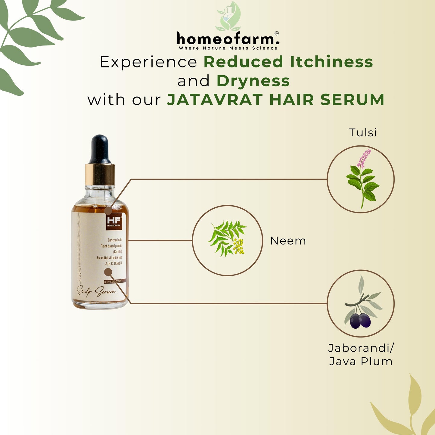 Jatavrat Scalp Serum for Dry Scalp