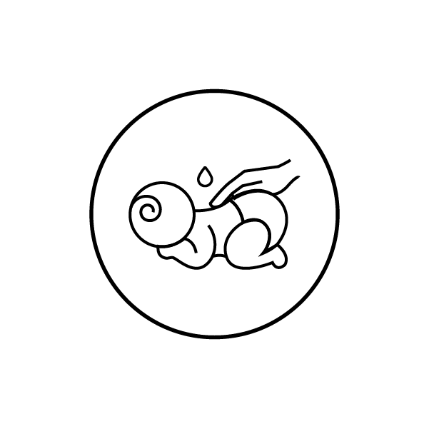 Baby Massage Oil with Almond and Olive Oil HOMEOFARM